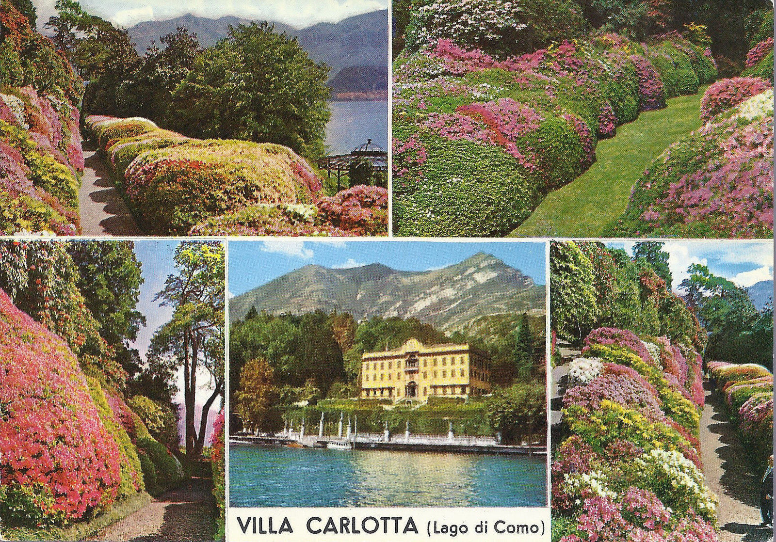 VILLA CARLOTTA - LAGO DI COMO - 5 VEDUTINE - NV - FG