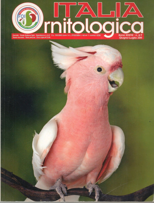 ITALIA ORNITOLOGICA - GIUGNO-LUGLIO 2011