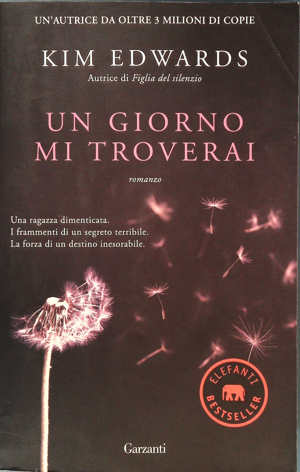 UN GIORNO MI TROVERAI - KIM EDWARDS
