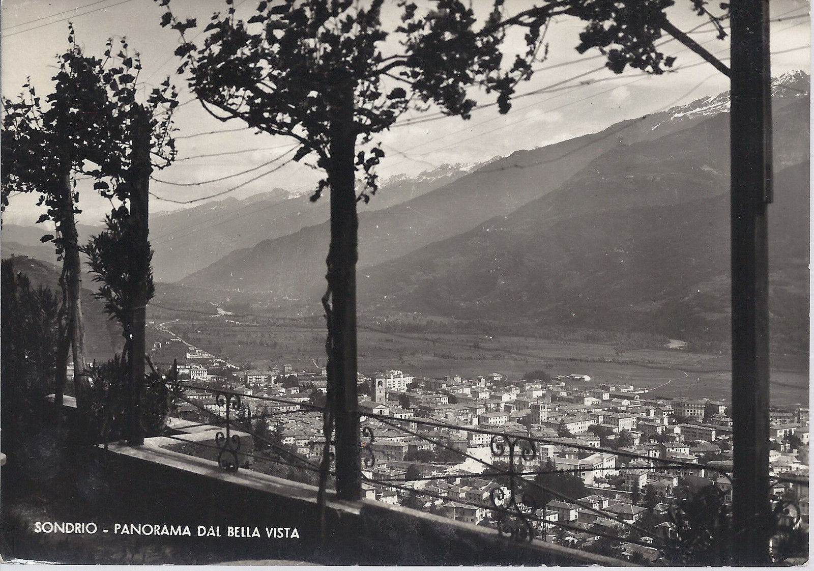 SONDRIO - PANORAMA DAL BELLA VISTA - V 1953 - FG