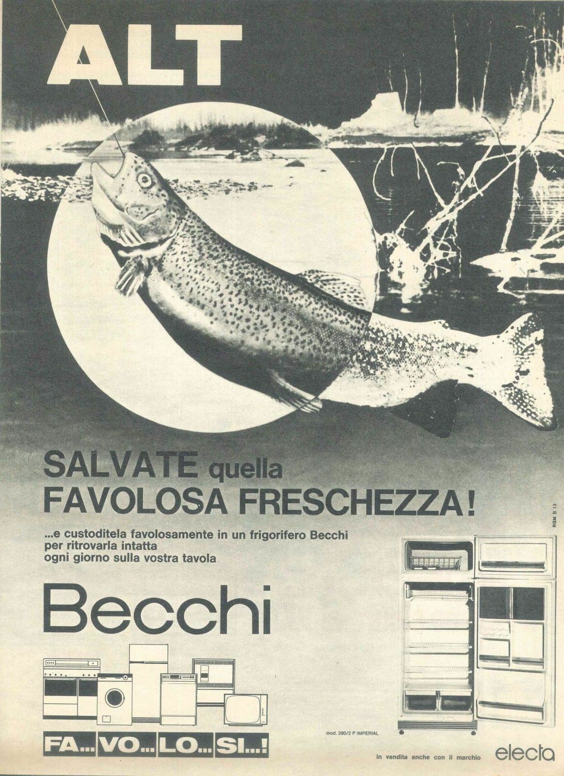 BECCHI - ELETTRODOMESTICI- ADVERSITING