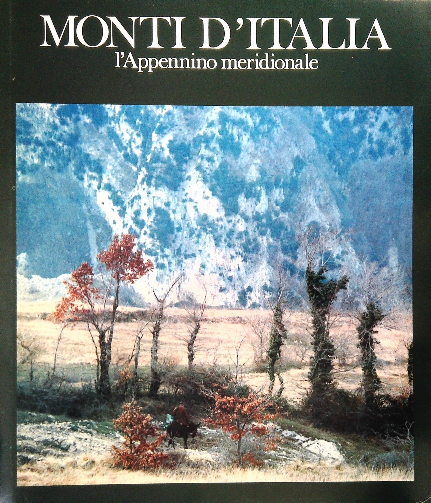 MONTI D'ITALIA - L' APPENNINO MERIDIONALE