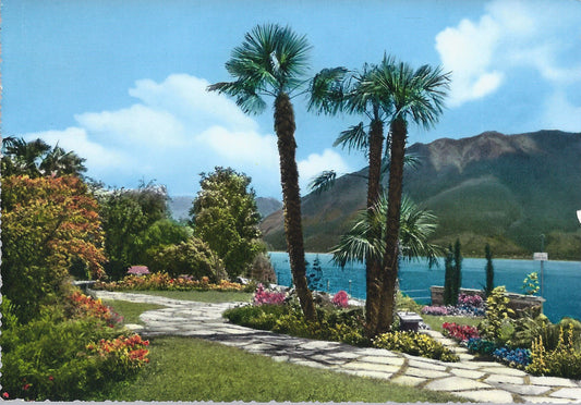 LAGO MAGGIORE - MOTIVO - NV