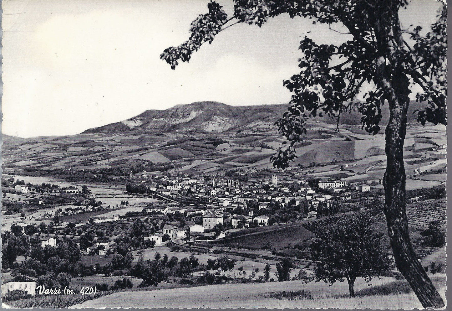 VARZI - ( Panorama ) - NV - FG
