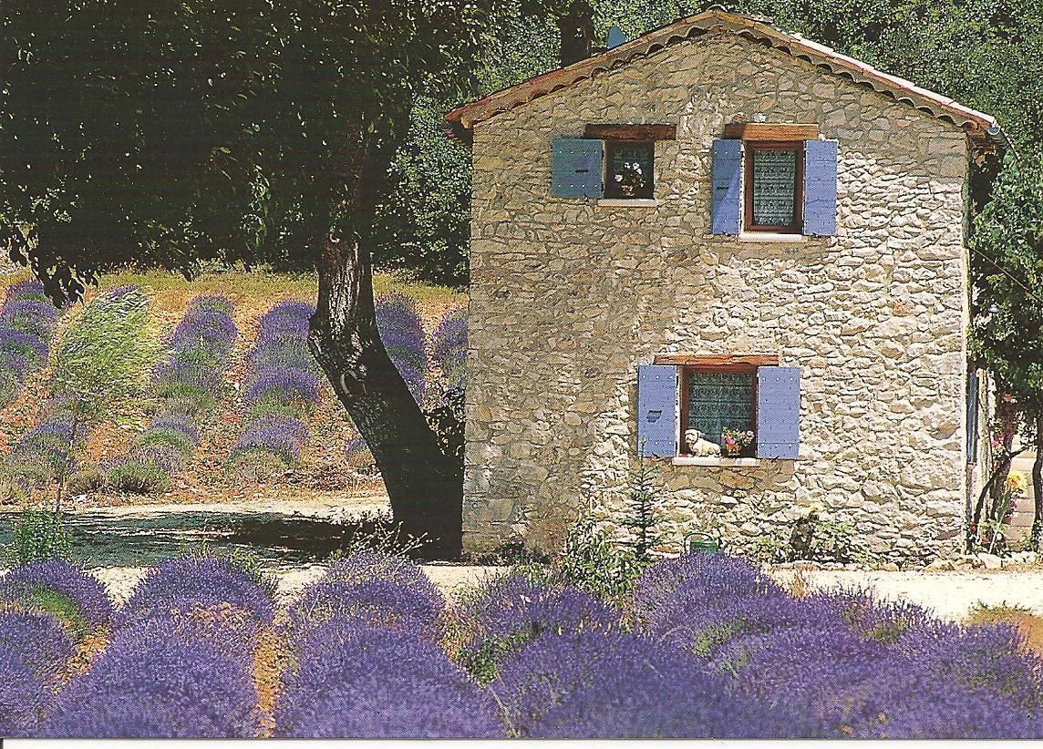 PROVENZA - PAESAGGIO - NV