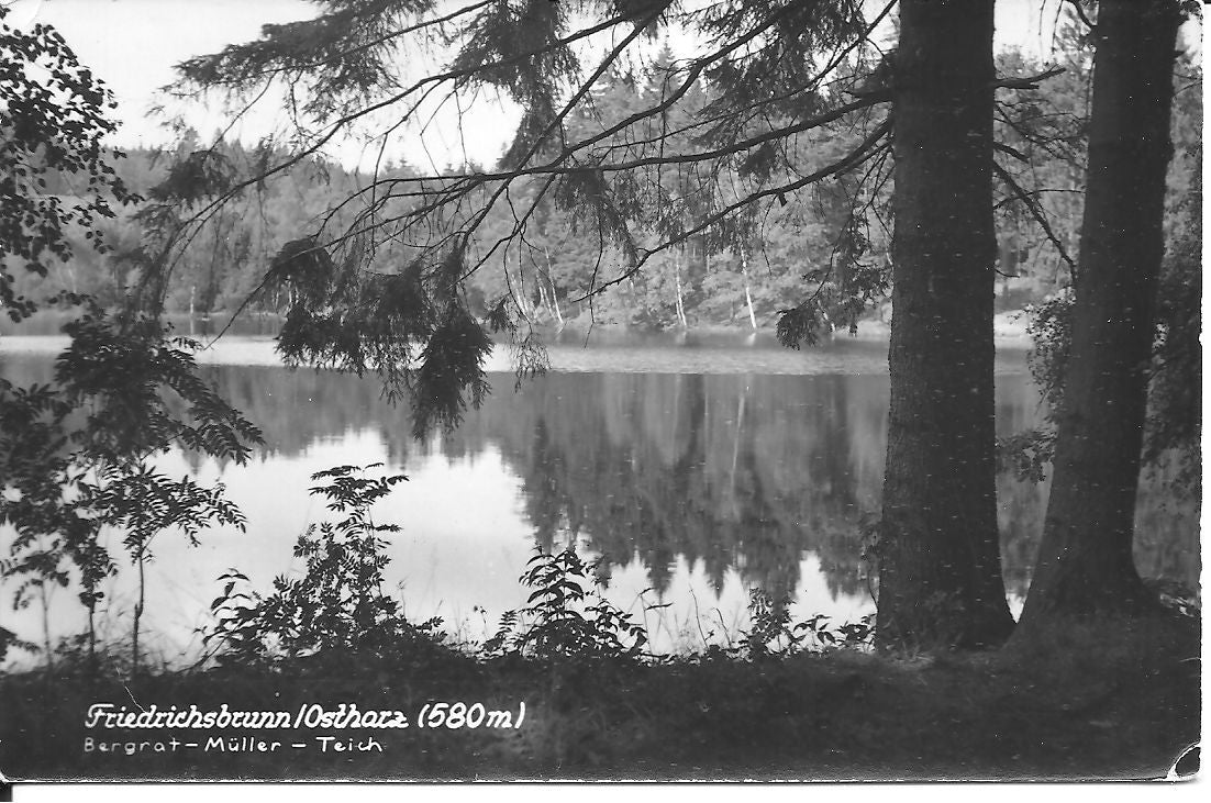 FRIEDERICHBRUNN - OSTHARZ - V1962