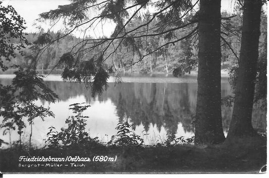 FRIEDERICHBRUNN - OSTHARZ - V1962