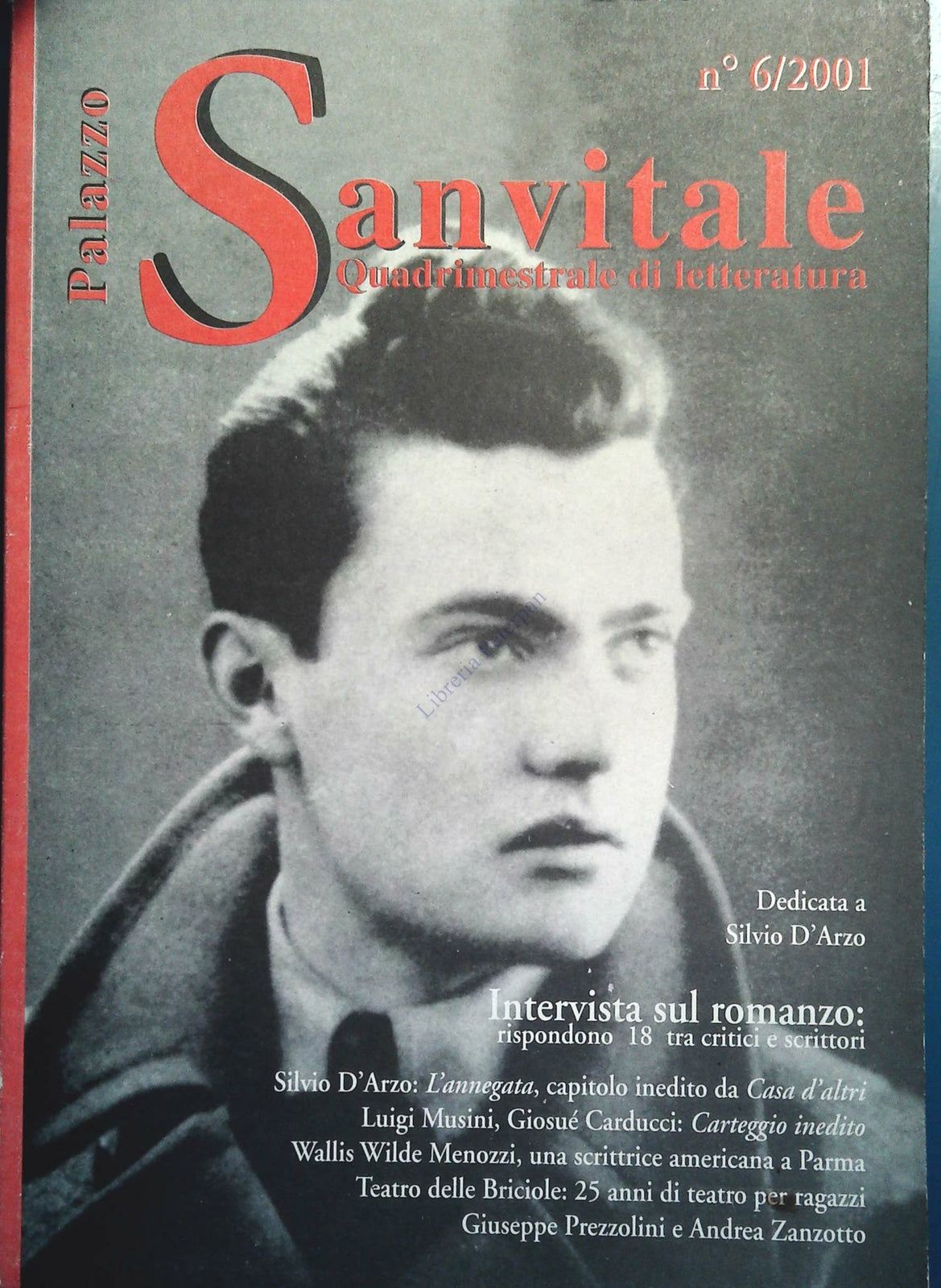PALAZZO SAN VITALE N. -2001 - INTERVISTA SUL ROMANZO