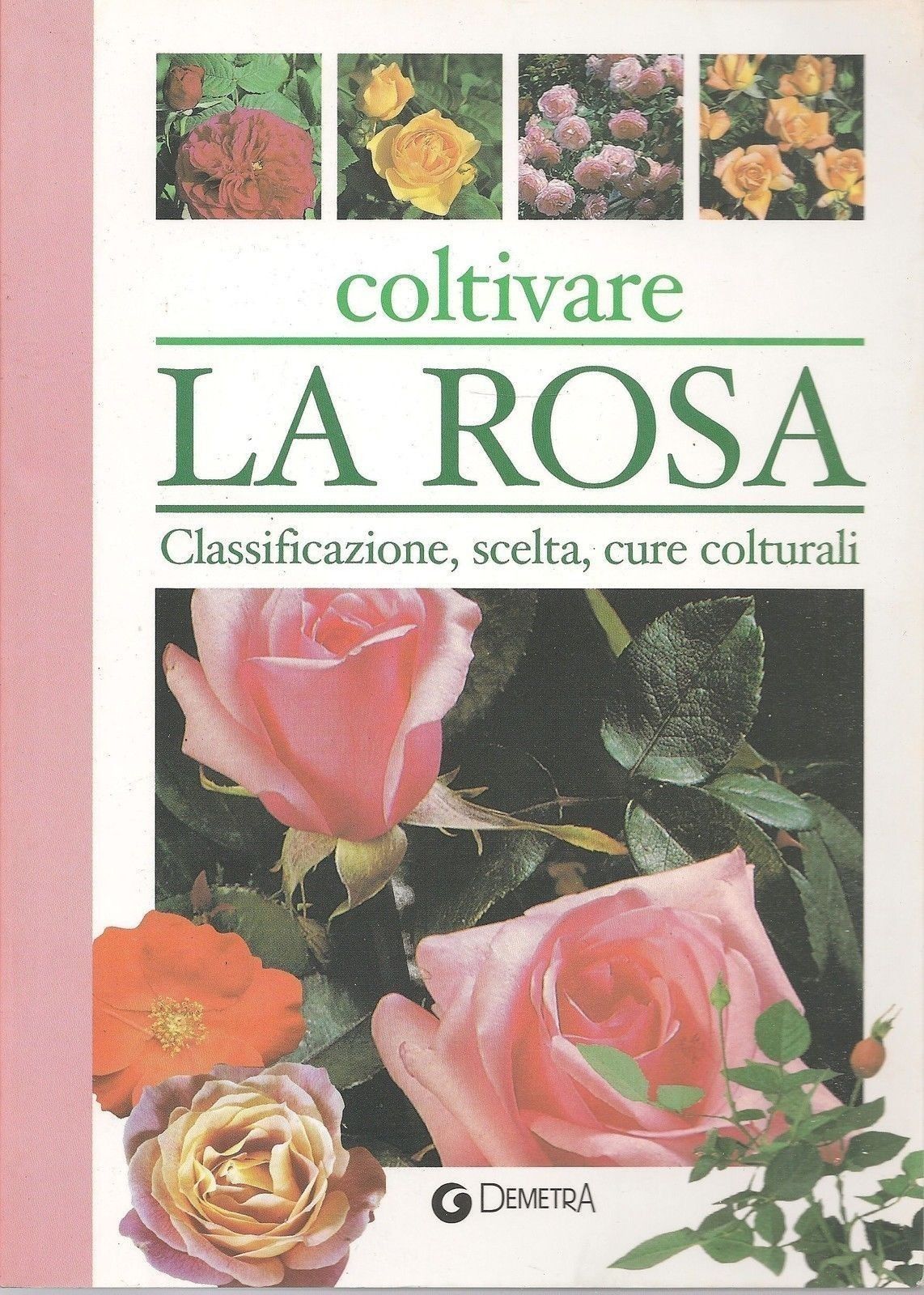 COLTIVARELA ROSA  - MARGHERITA NERI-FAUSTA M. FAZIO