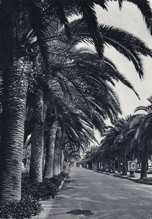 FINALE LIGURE - LA PASSEGGIATA DELLE PALME - NV