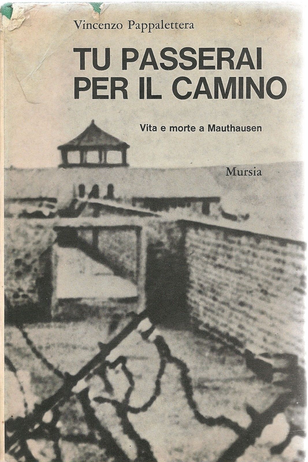 TU PASSERAI PER IL CAMINO - VINCENZO PAPPALETTERA
