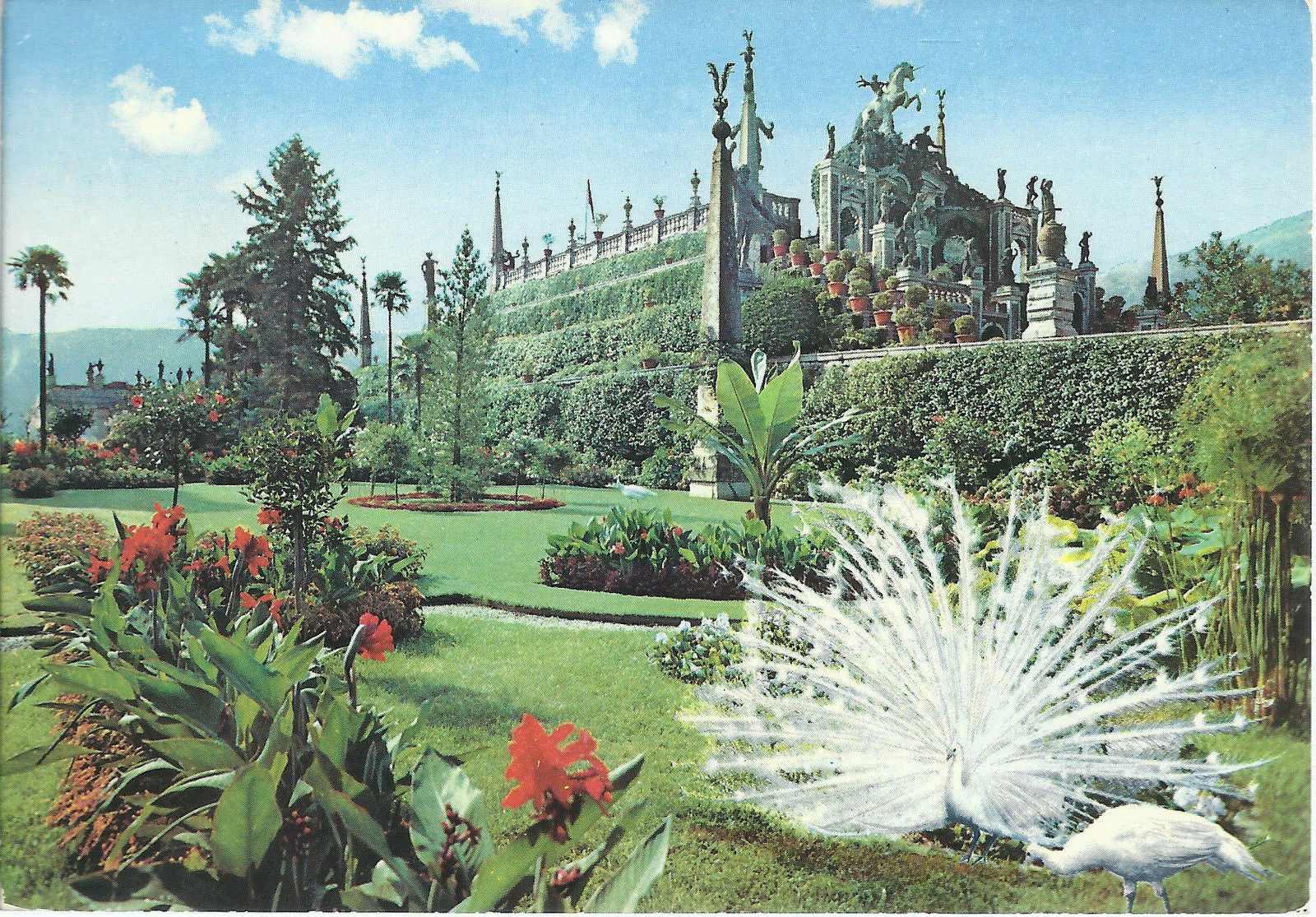 ISOLA BELLA - LAGO MAGGIORE - I GIARDINI - V1971