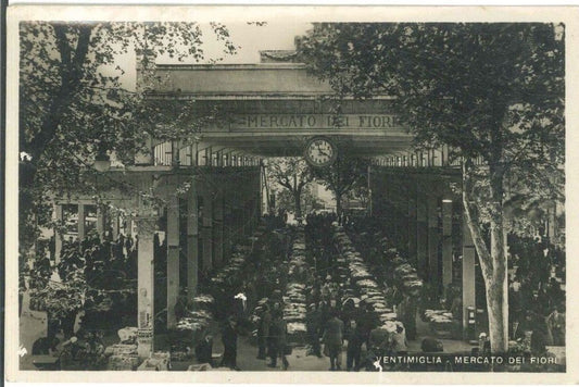 VENTIMIGLIA - MERCATO DEI FIORI - V1951