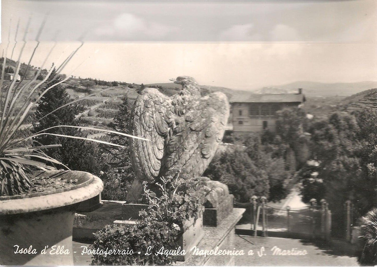 ISOLA D'ELBA - L'AQUILA NAPOLEONOCA A S. MARTINO -
