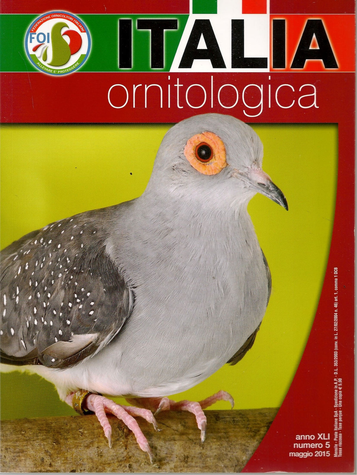 ITALIA ORNITOLOGICA - MAGGIO 2015
