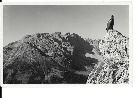 DOLOMITI - MONUMENTO A CHRISTOMANNOS - NV