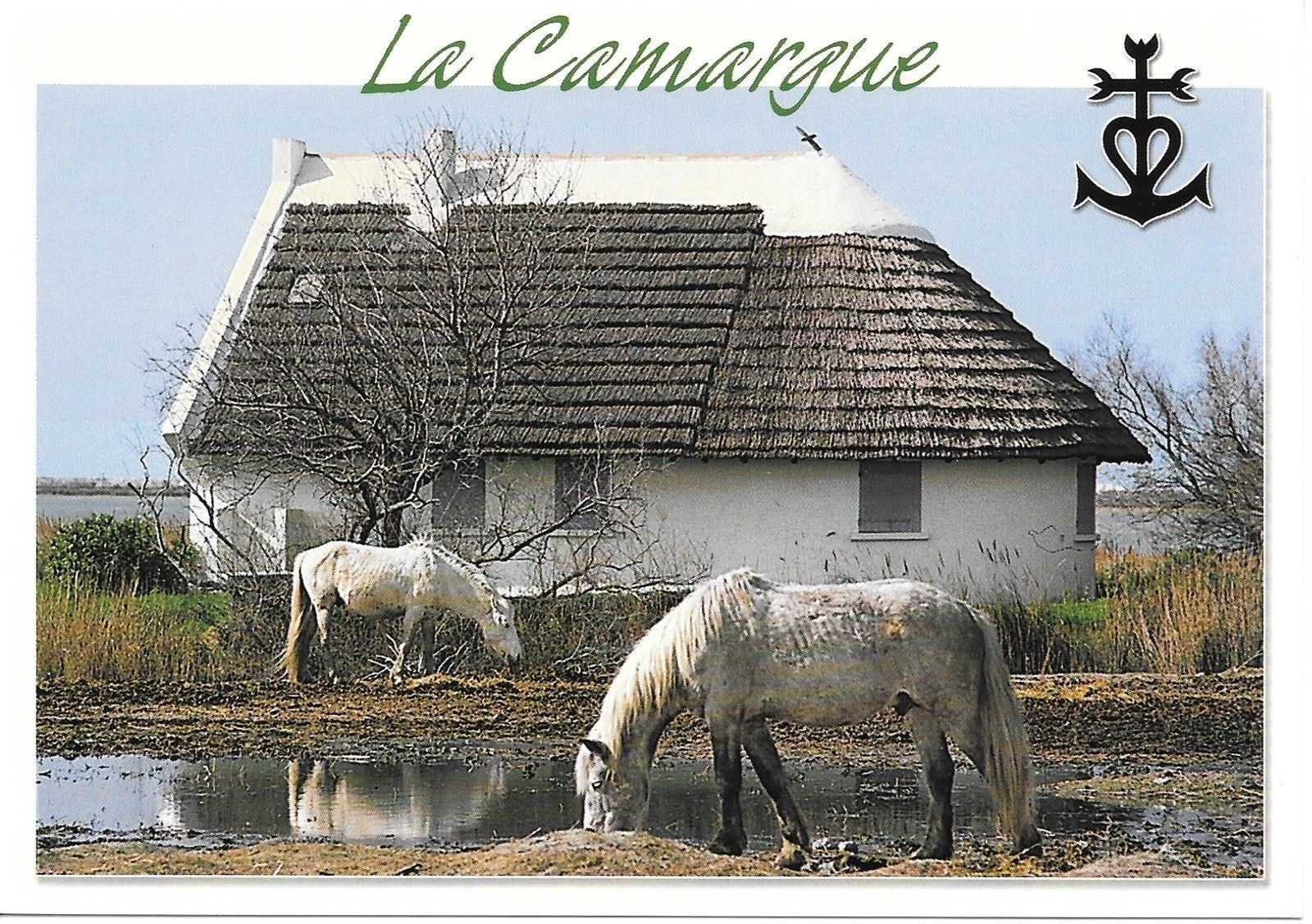 LA CAMARGUE - NV
