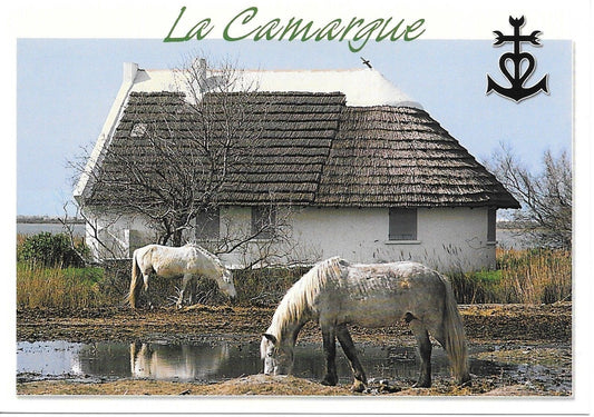 LA CAMARGUE - NV