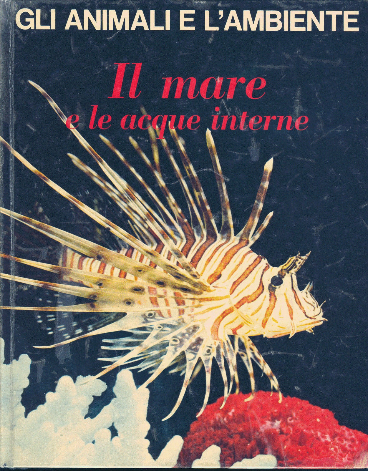 IL MARE E LE ACQUE INTERNE - a cura di Federica Colombo