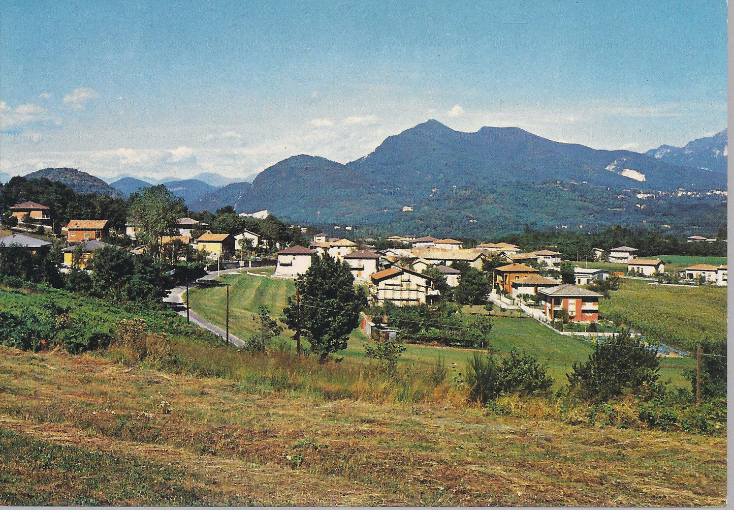 DOVESE - PANORAMA - NV - FG