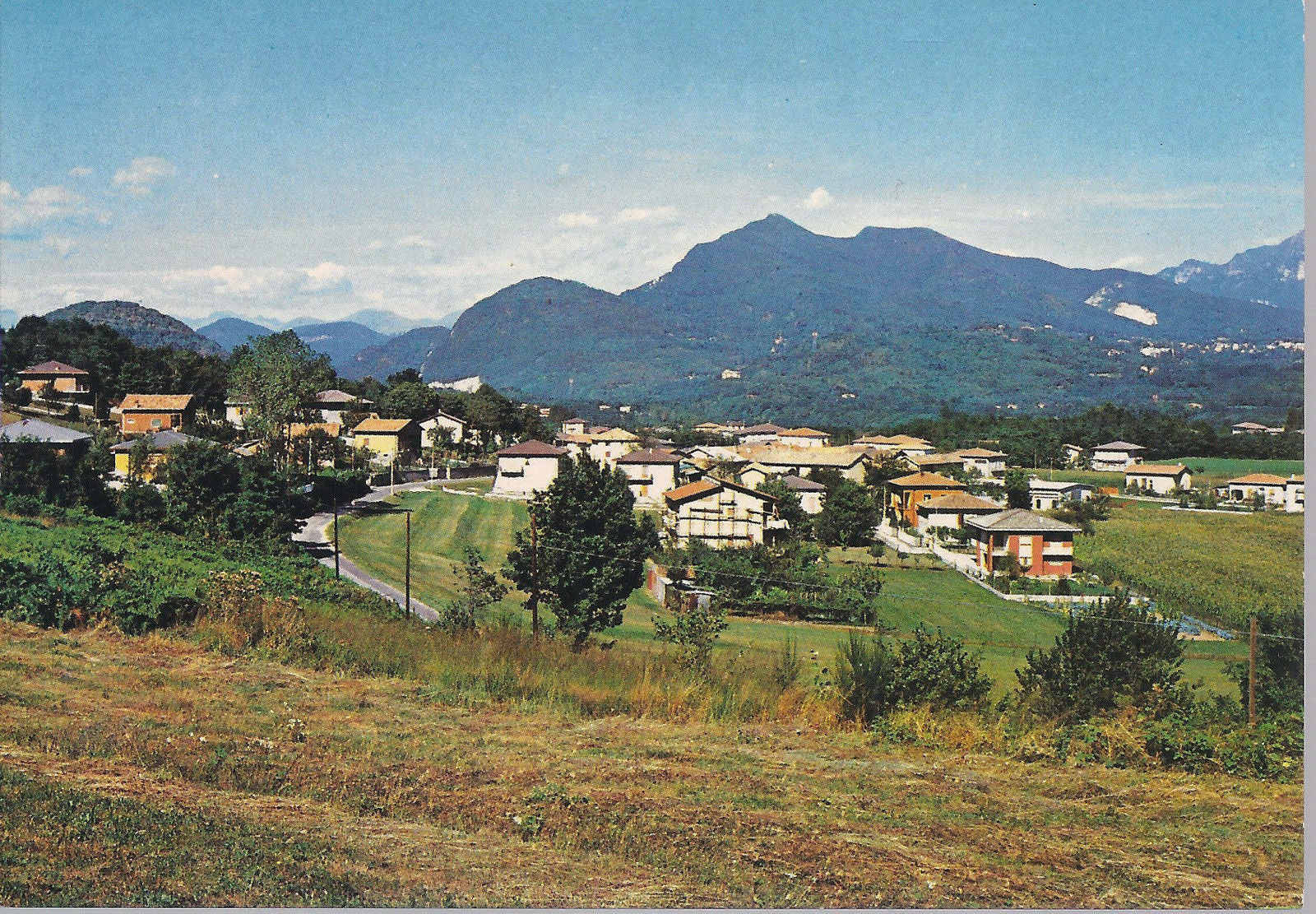 DOVESE - PANORAMA - NV - FG