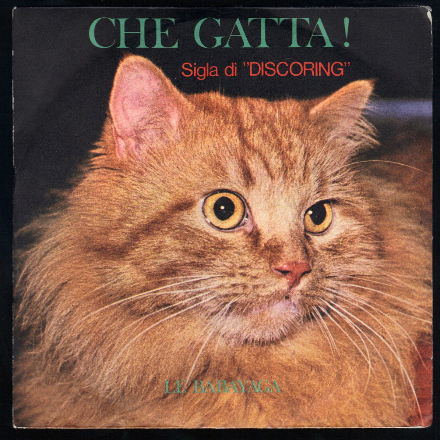 CHE GATTA! - FLOP # LE BABAYAGA