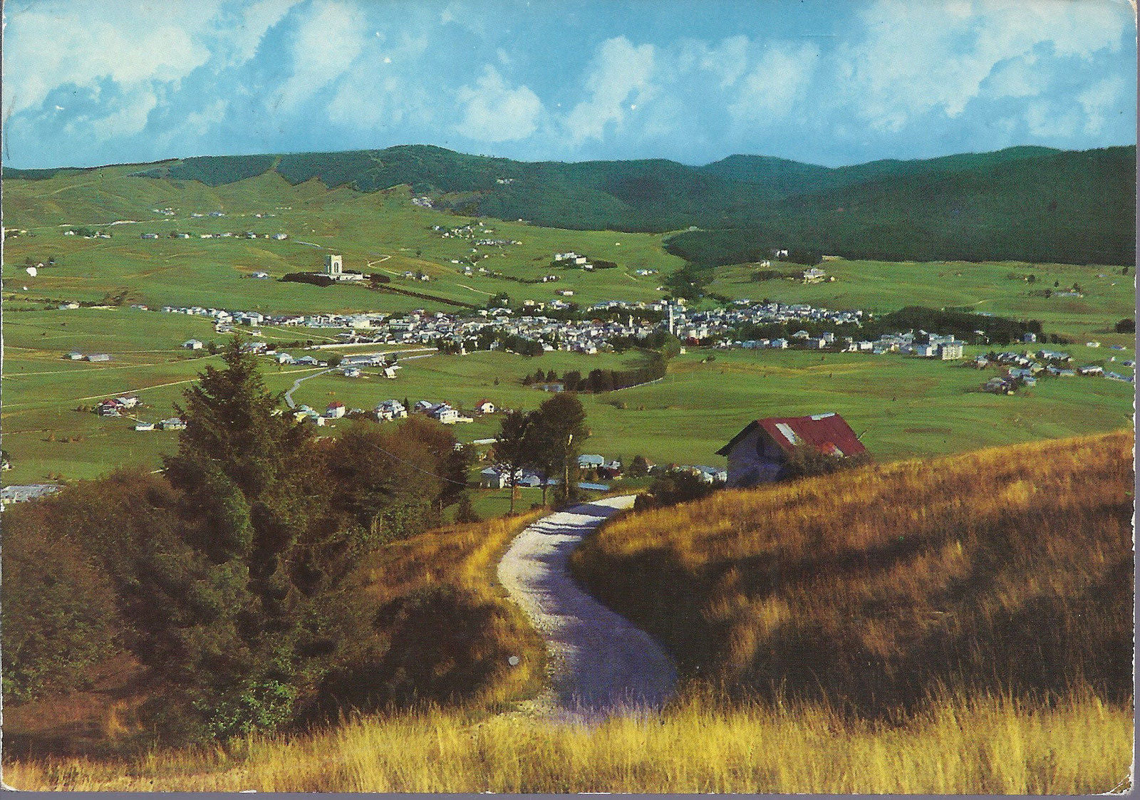 ASIAGO - INCANTEVOLE SOGGIORNO ESTIVO - VSD - FG