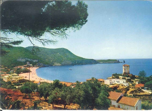 ISOLA DEL GIGLIO - IL CAMPESE - V1977