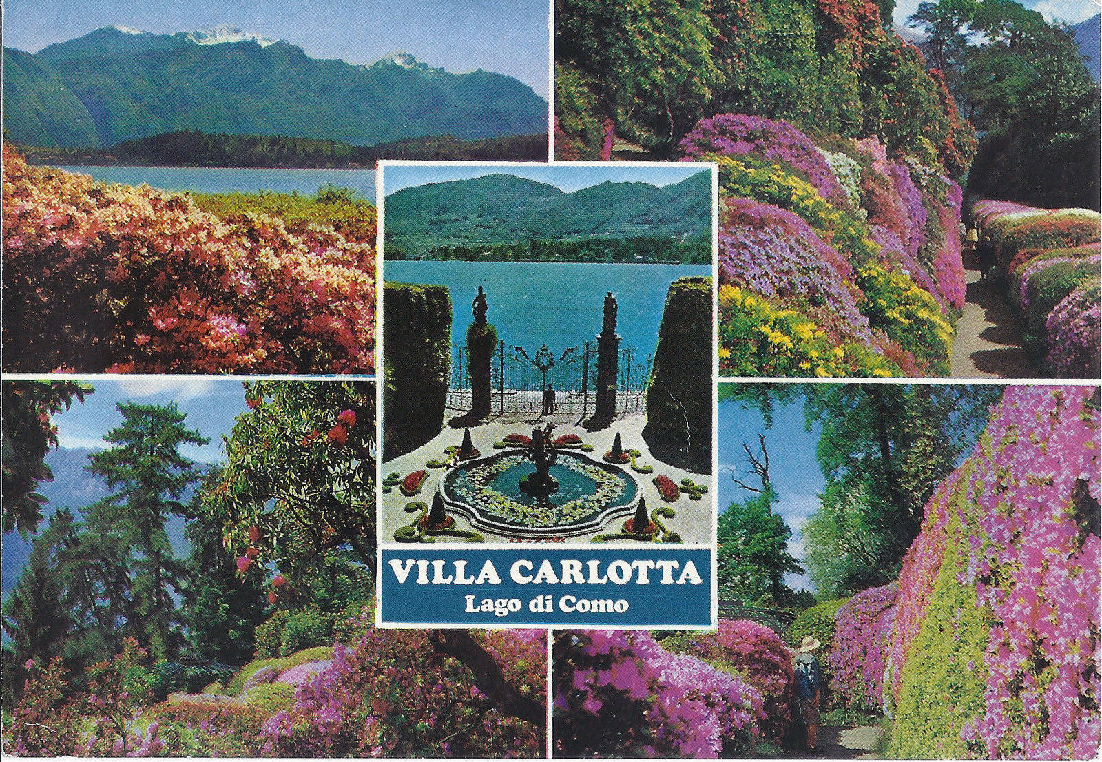 VILLA CARLOTTA - LAGO DI COMO - 5 VEDUTE - V1983
