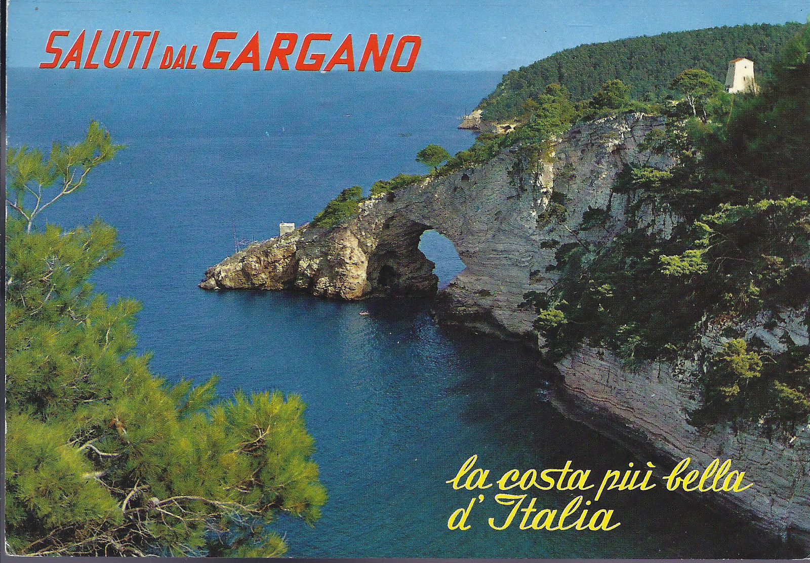GARGANO - SALUTI - V1990