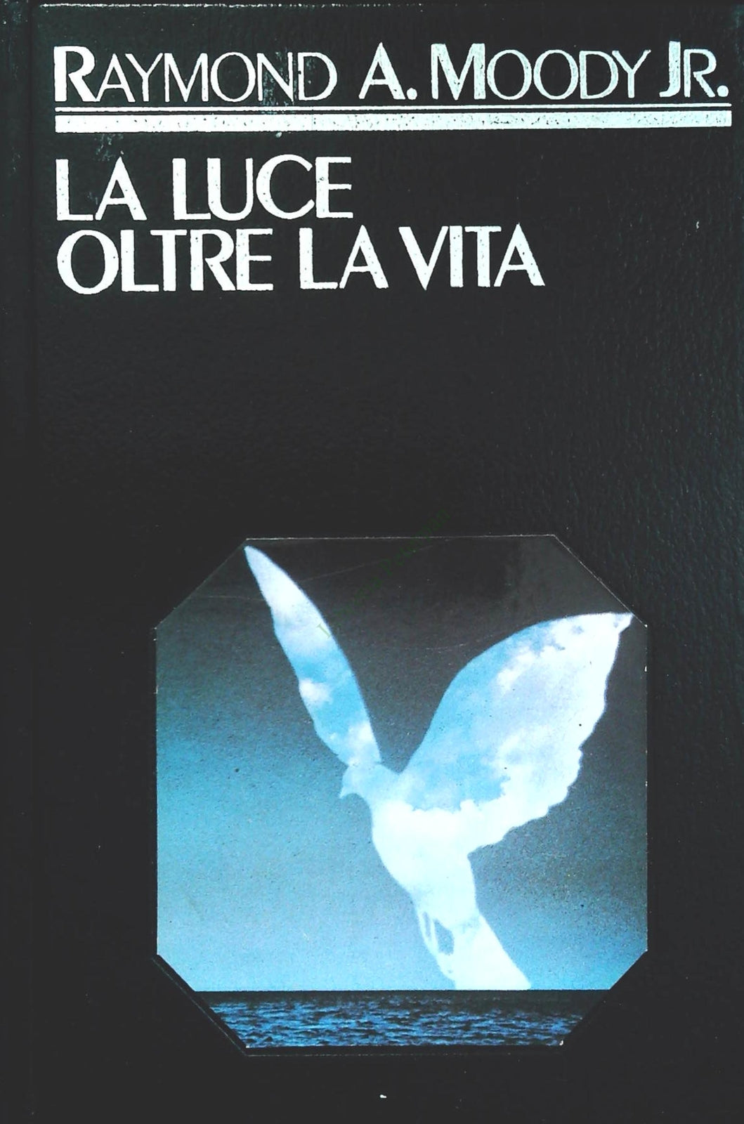 LA LUCE OLTRE LA VITA - RAYMOND A. MOODY JR