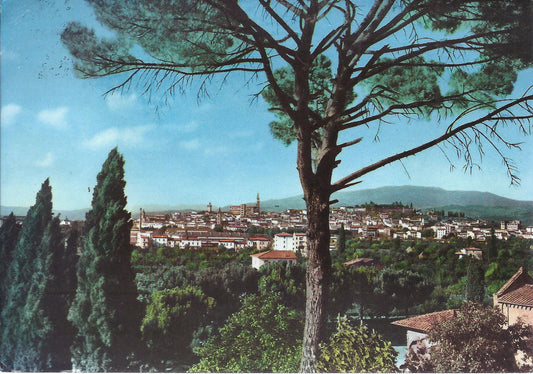 AREZZO - PANORAMA - V 1958 - FG