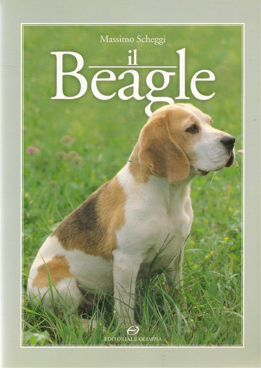IL BEAGLE - MASSIMO SCHEGGI