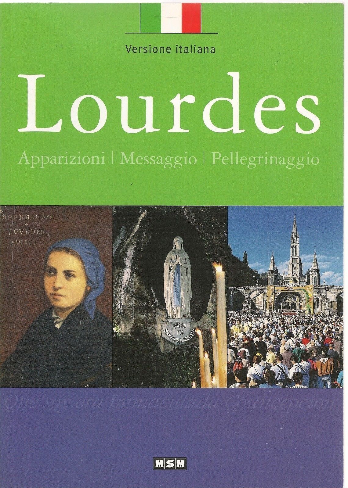 LOURDES -APPARIZIONI MESSAGGIO PELLEGRINAGGIO - MSM 2008 - OUTLET DEL LIBRO