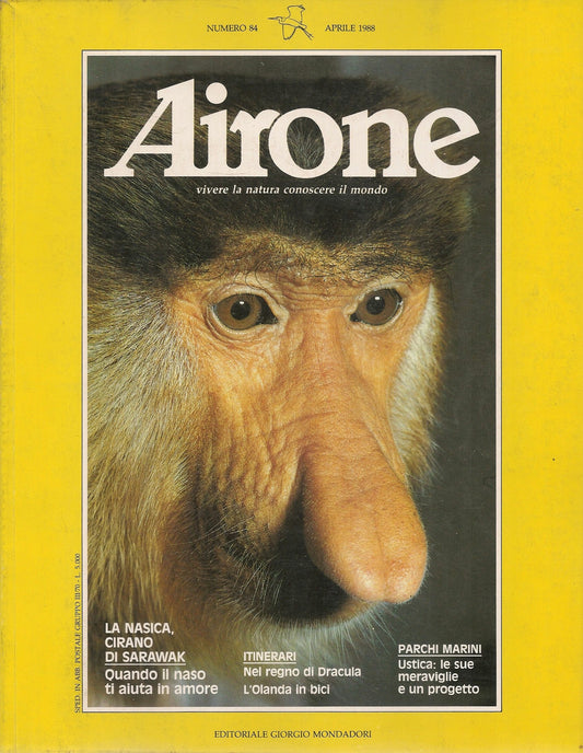 AIRONE N. 84 - APRILE 1988 - LA NASICA, CIRANO DI SARAWAK