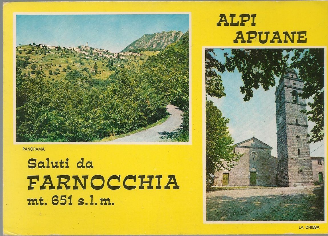 SALUTI DA FARNOCCHIA - DUE VEDUTE -NV