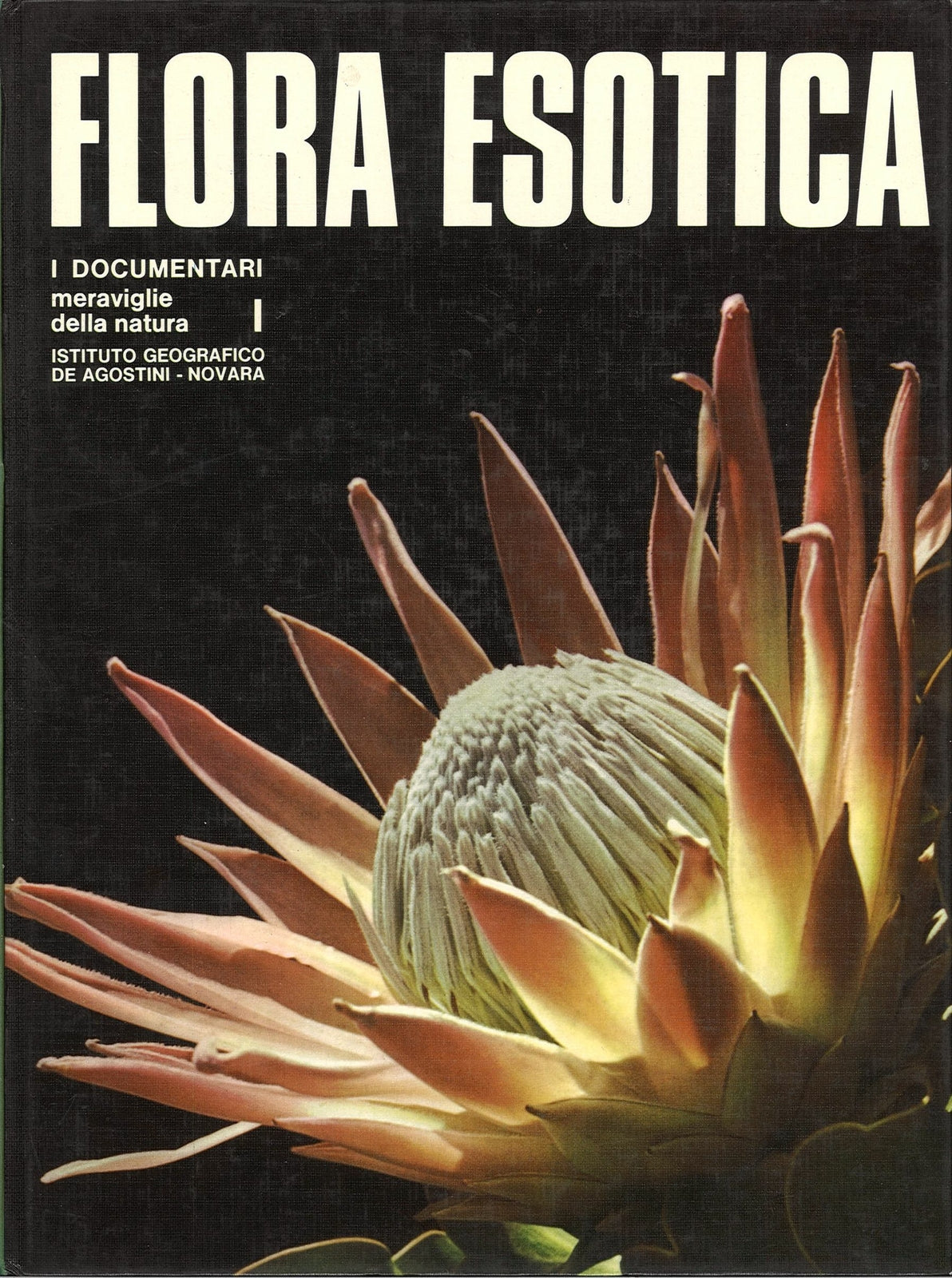 FLORA ESOTICA - I DOCUMENTARI - DE AGOSTINI