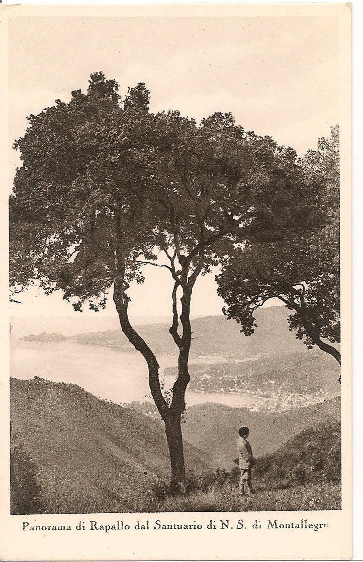 RAPALLO - PANORAMA DAL SANTUARIO DI N.S.DI MONTALLEGRO - NV