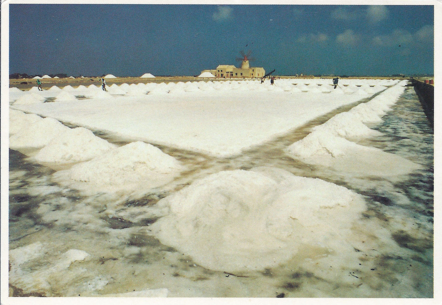 MARSALA - SALINE ETTORE E INFERSA - RACCOLTA DEL SALE - VIBS
