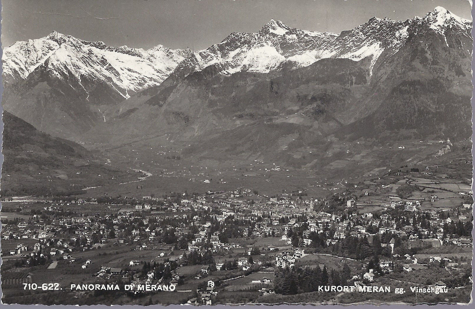 MERANO - PANORAMA  - KURORT MERAN gg Vinschgau - V 1951 - FP