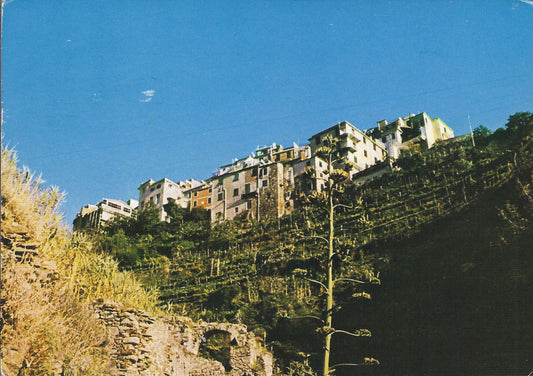 CORNIGLIA - LE CINQUE TERRE - SCORCIO PANORAMICO - V1986