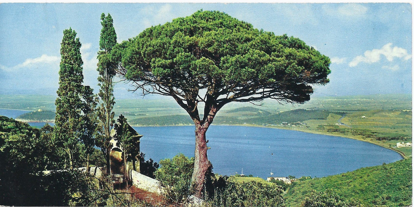 BARATTI  POPULONIA - IL GOLFO - NV - FP