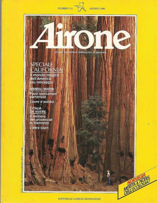 AIRONE N 112 - AGOSTO 1990