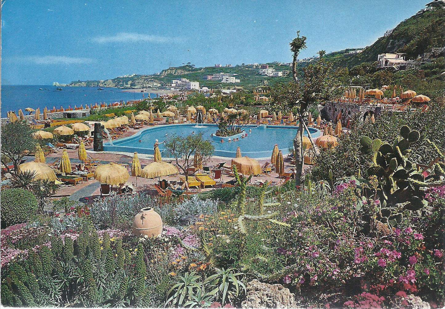 FORIO D'ISCHIA - GIARDINI TERME POSEIDON - V1986