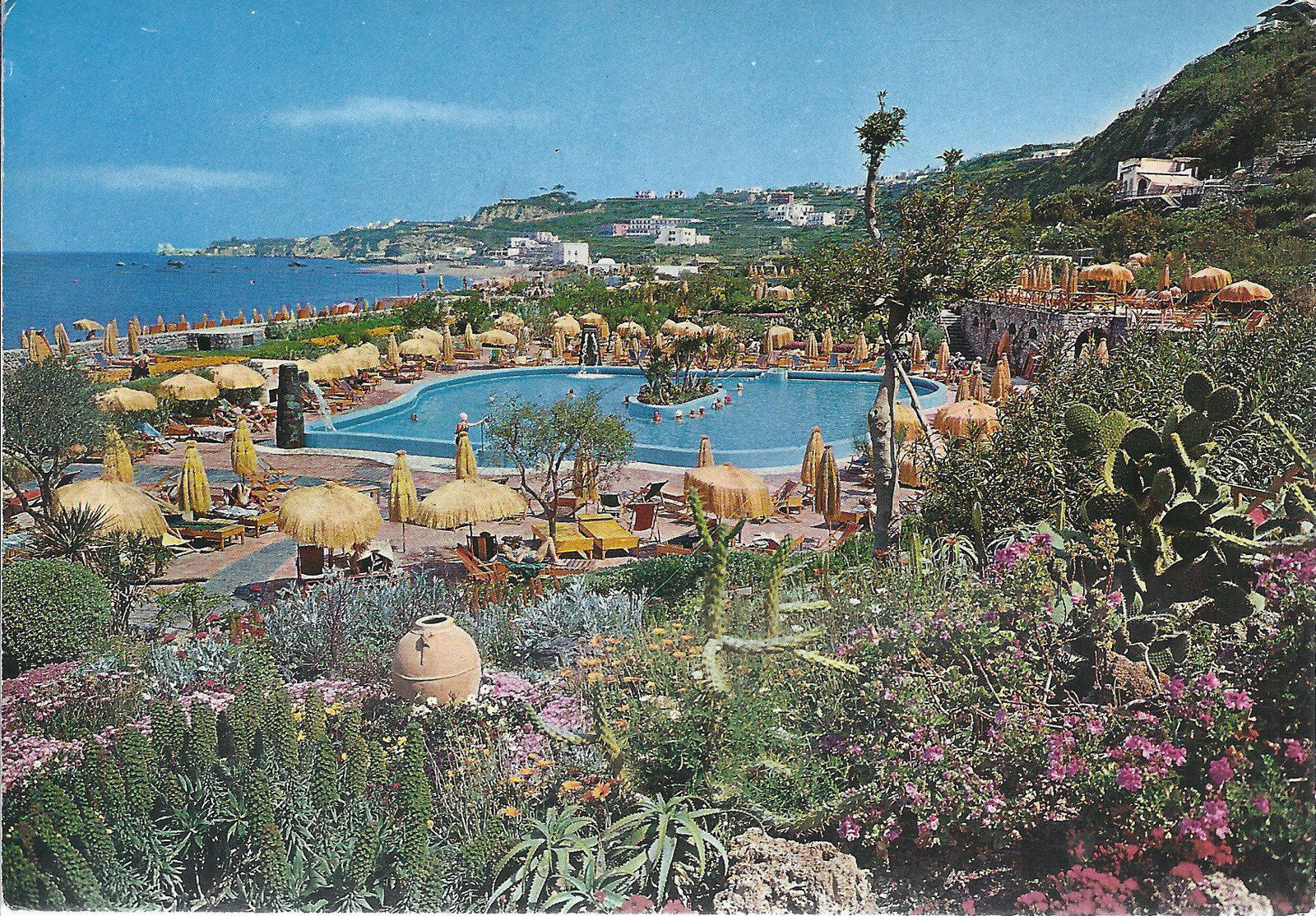 FORIO D'ISCHIA - GIARDINI TERME POSEIDON - V1986