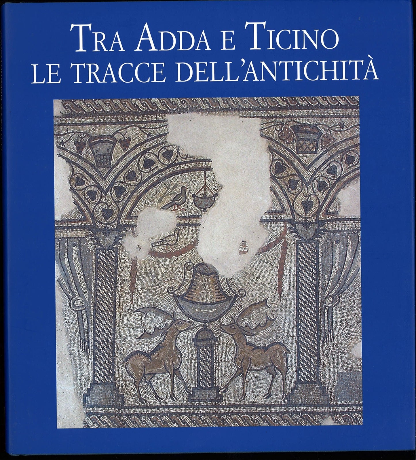 TRA ADDA E TICINO LE TRACCE DELL'ANTICHITA' - MARIAVITTORIA ANTICO GALLINA