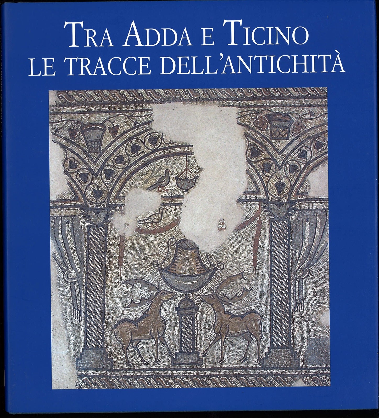 TRA ADDA E TICINO LE TRACCE DELL'ANTICHITA' - MARIAVITTORIA ANTICO GALLINA