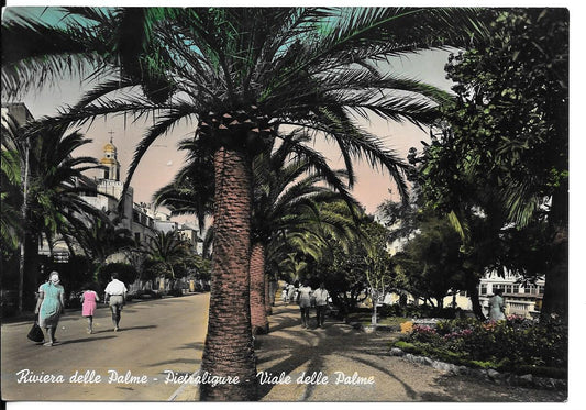 PIETRALIGURE - VIALE DELLE PALME - V1954 - FG - ACQUARELLATA