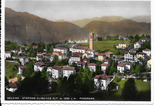 SELVINO - PANORAMA - V1950 - FG - ACQUARELLATA