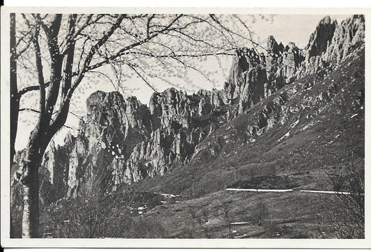 CRESTA SEGANTINI - NV - FP